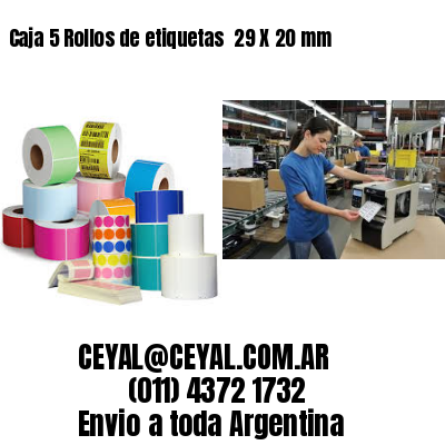 Caja 5 Rollos de etiquetas 	29 X 20 mm