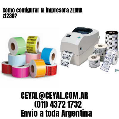 Como configurar la impresora ZEBRA zt230?