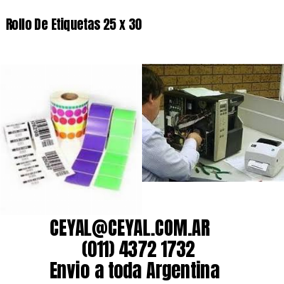 Rollo De Etiquetas 25 x 30