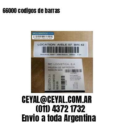 66000 codigos de barras