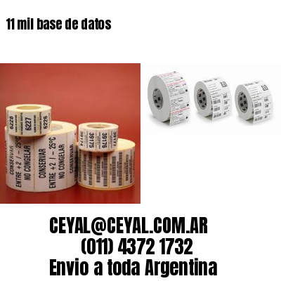 11 mil base de datos