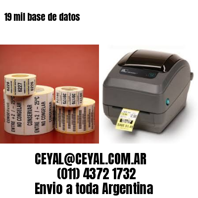 19 mil base de datos