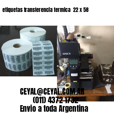 etiquetas transferencia termica  22 x 58