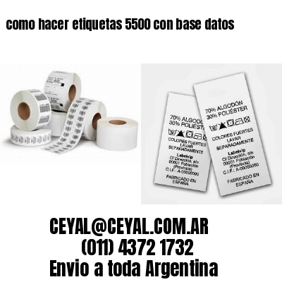 como hacer etiquetas 5500 con base datos