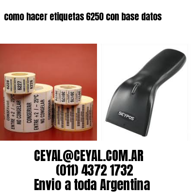 como hacer etiquetas 6250 con base datos