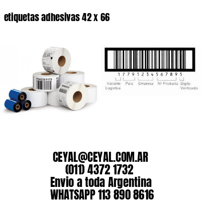 etiquetas adhesivas 42 x 66
