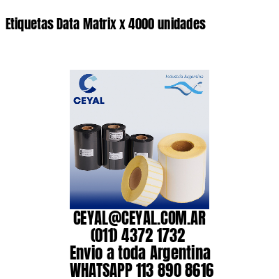 Etiquetas Data Matrix x 4000 unidades