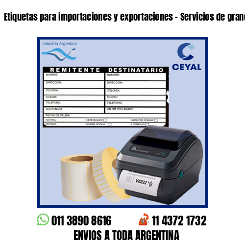 Etiquetas para importaciones y exportaciones – Servicios de grandes envíos