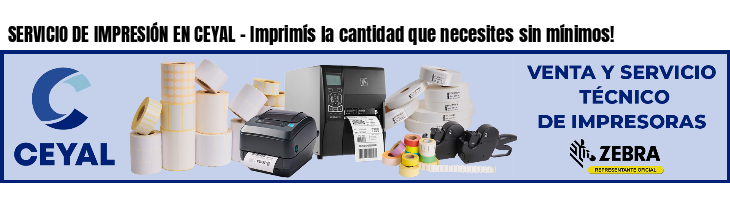SERVICIO DE IMPRESIÓN EN CEYAL - Imprimís la cantidad que necesites sin mínimos!