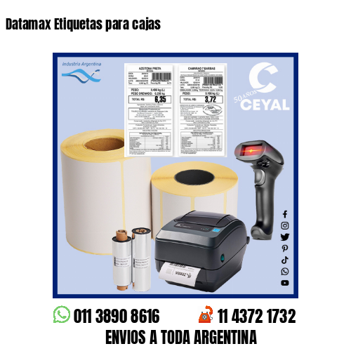 Datamax Etiquetas para cajas