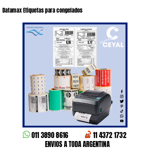 Datamax Etiquetas para congelados