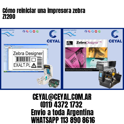 Cómo reiniciar una impresora zebra Zt200