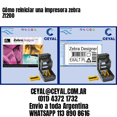 Cómo reiniciar una impresora zebra Zt200