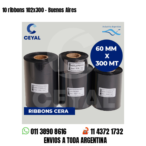 10 ribbons 102×300 – Buenos Aires