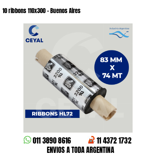 10 ribbons 110×300 – Buenos Aires