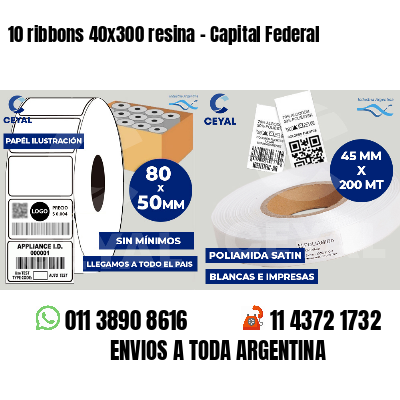 10 ribbons 40x300 resina - Capital Federal