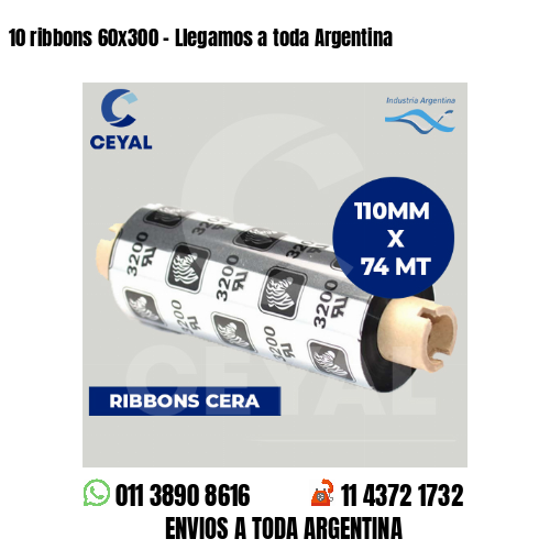 10 ribbons 60×300 – Llegamos a toda Argentina