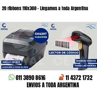 20 ribbons 110x300 - Llegamos a toda Argentina