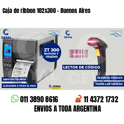 Caja de ribbon 102x300 - Buenos Aires