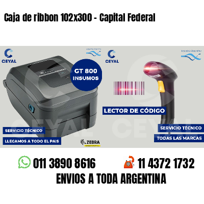 Caja de ribbon 102x300 - Capital Federal