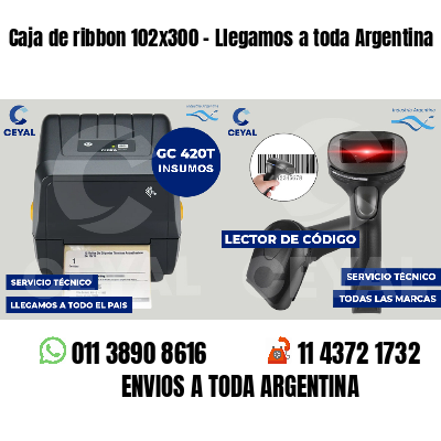 Caja de ribbon 102x300 - Llegamos a toda Argentina