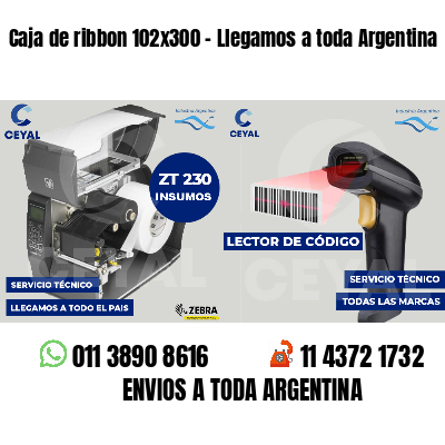 Caja de ribbon 102x300 - Llegamos a toda Argentina