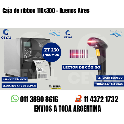 Caja de ribbon 110x300 - Buenos Aires