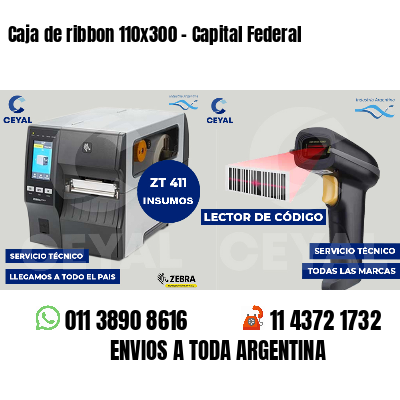 Caja de ribbon 110x300 - Capital Federal