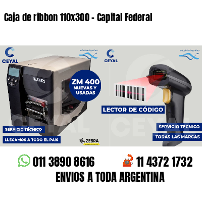 Caja de ribbon 110x300 - Capital Federal