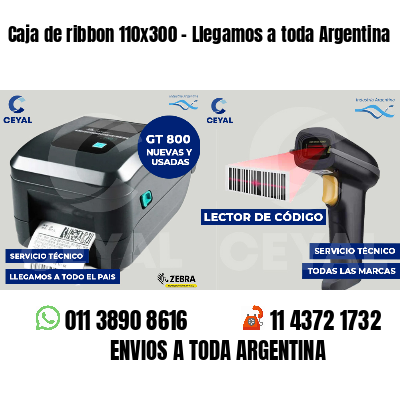 Caja de ribbon 110x300 - Llegamos a toda Argentina