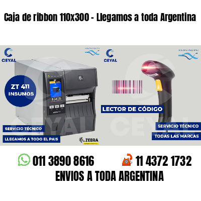 Caja de ribbon 110x300 - Llegamos a toda Argentina