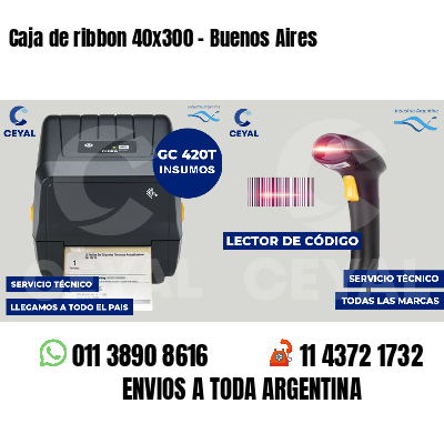 Caja de ribbon 40x300 - Buenos Aires