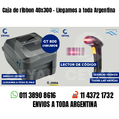 Caja de ribbon 40x300 - Llegamos a toda Argentina