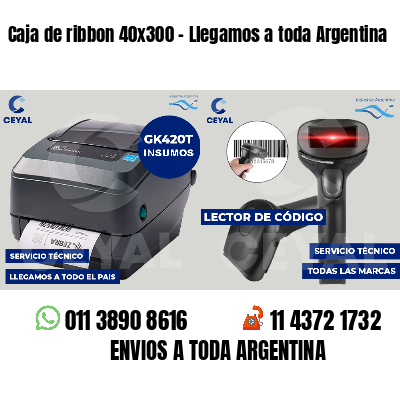 Caja de ribbon 40x300 - Llegamos a toda Argentina