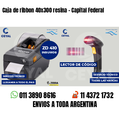 Caja de ribbon 40x300 resina - Capital Federal