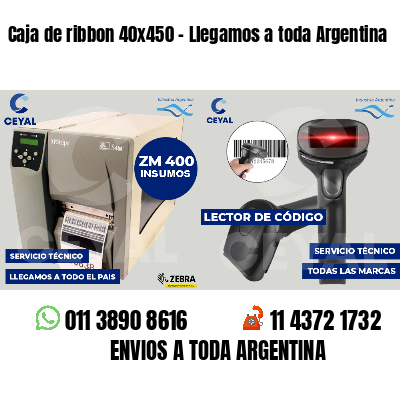Caja de ribbon 40x450 - Llegamos a toda Argentina