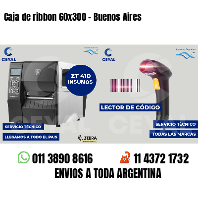 Caja de ribbon 60x300 - Buenos Aires