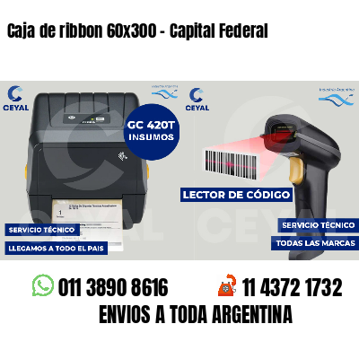 Caja de ribbon 60x300 - Capital Federal