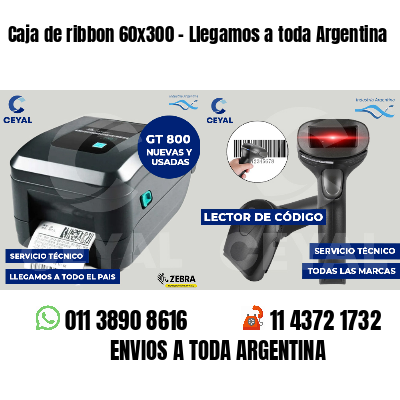 Caja de ribbon 60x300 - Llegamos a toda Argentina
