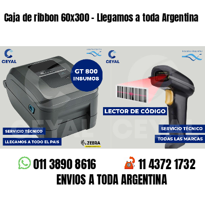 Caja de ribbon 60x300 - Llegamos a toda Argentina