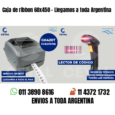 Caja de ribbon 60x450 - Llegamos a toda Argentina