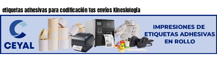 etiquetas adhesivas para codificación tus envíos Kinesiología