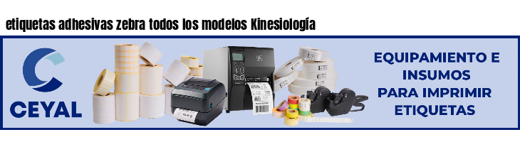 etiquetas adhesivas zebra todos los modelos Kinesiología