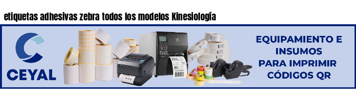etiquetas adhesivas zebra todos los modelos Kinesiología