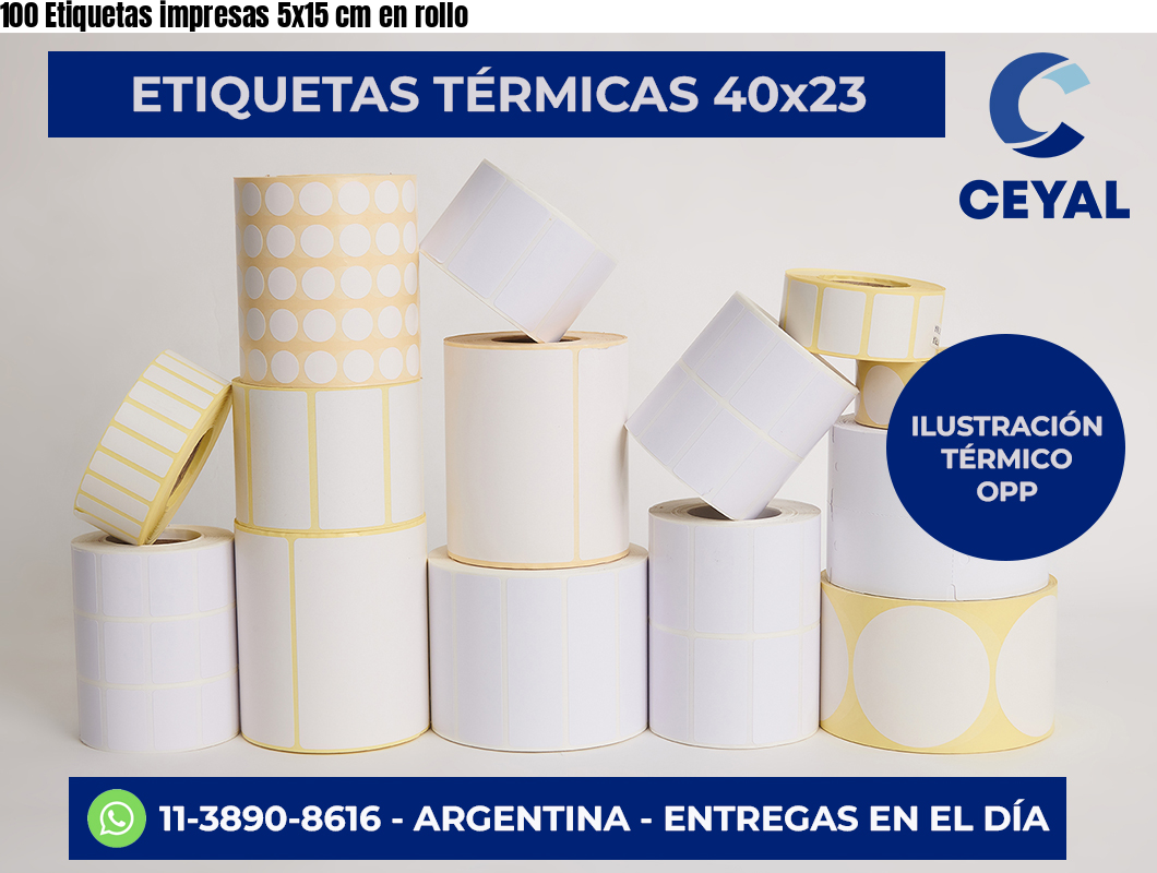 100 Etiquetas impresas 5×15 cm en rollo