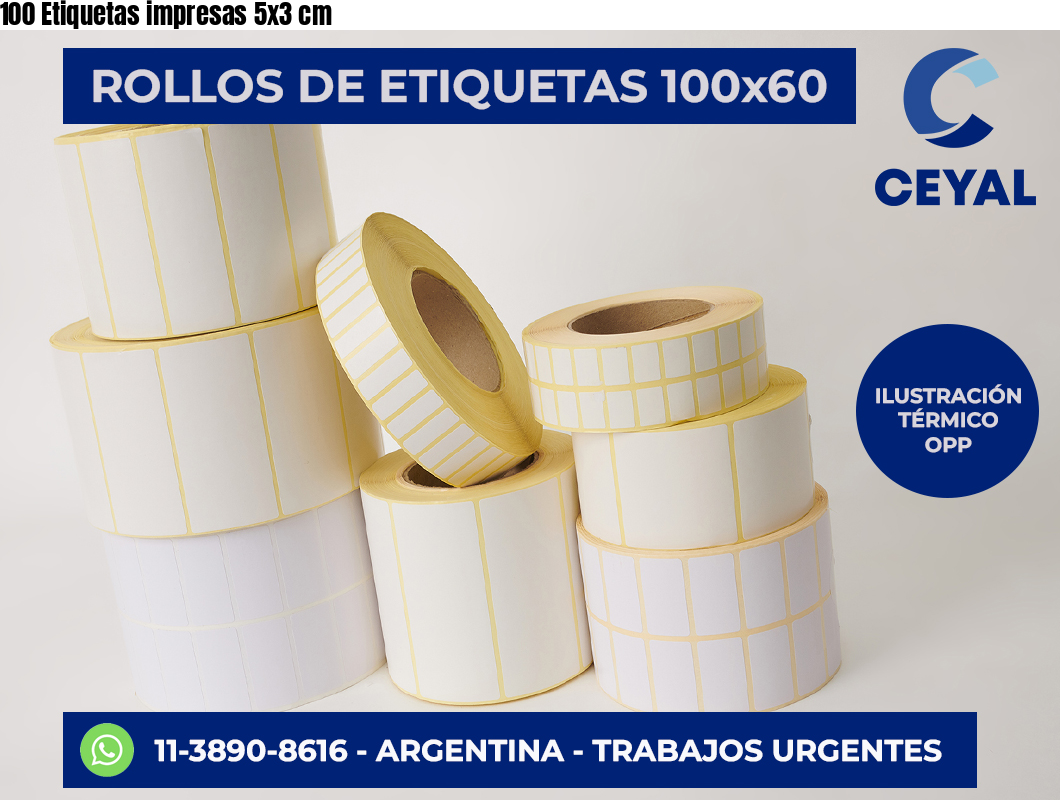 100 Etiquetas impresas 5×3 cm