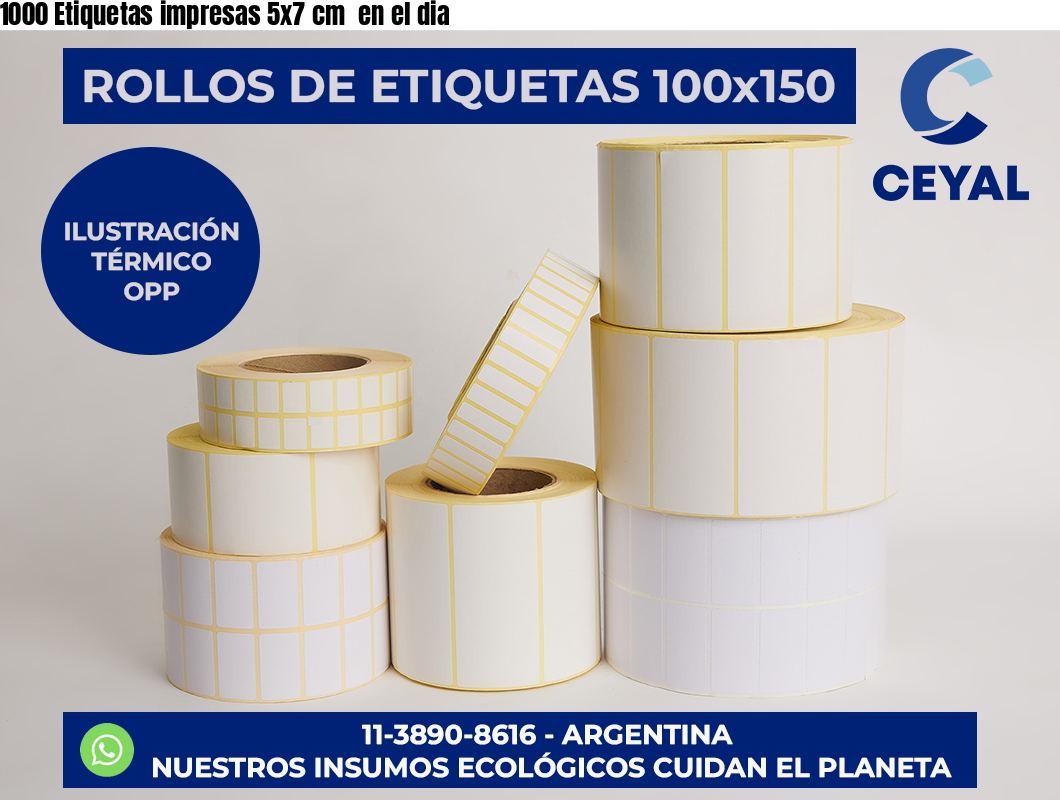 1000 Etiquetas impresas 5×7 cm  en el dia