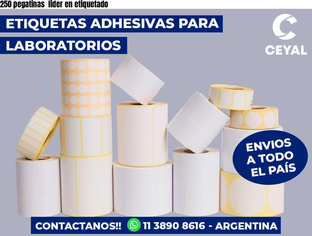 250 pegatinas  líder en etiquetado