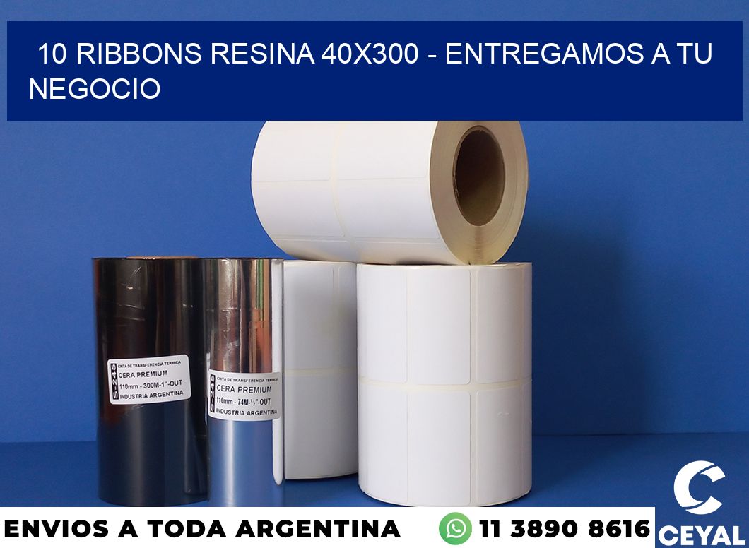 10 Ribbons resina 40×300 – entregamos a tu negocio