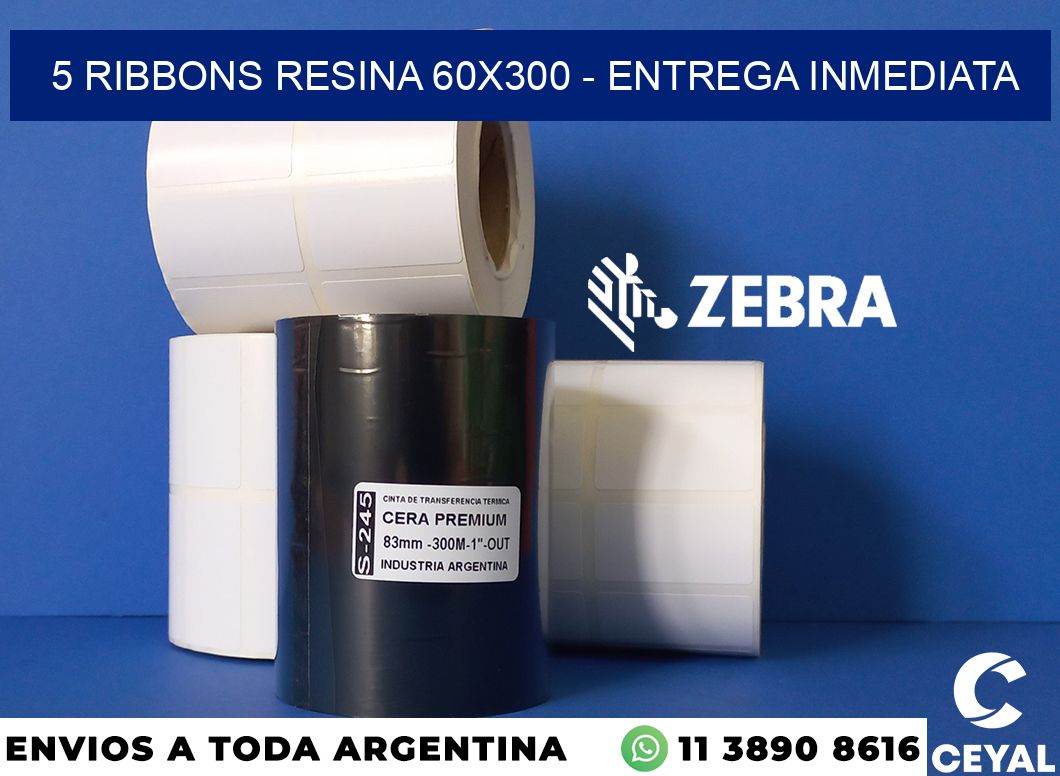 5 Ribbons resina 60x300 - Entrega inmediata